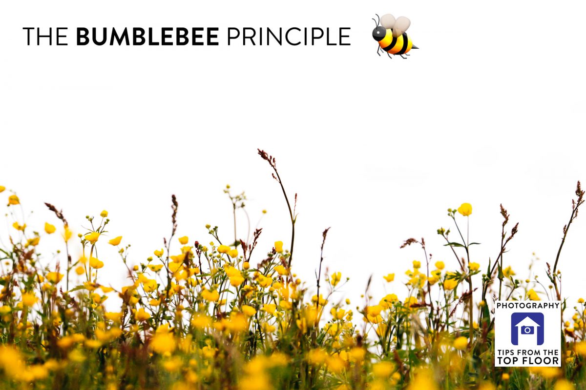 tfttf739 – The Bumblebee Principle