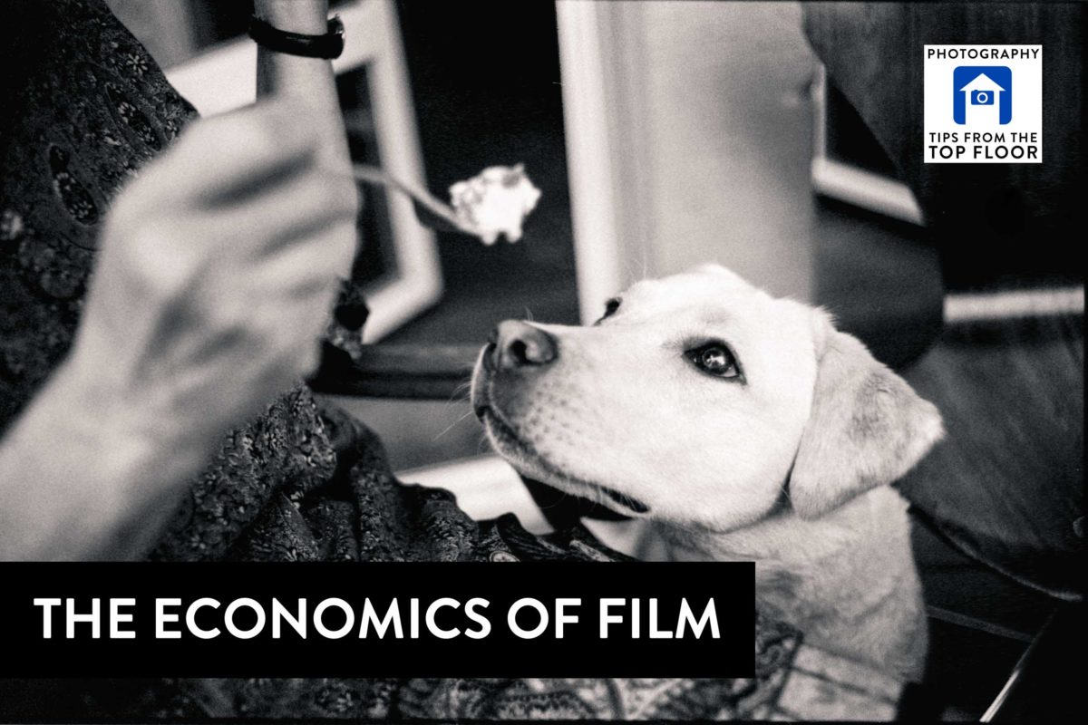 773 The Economics of Film