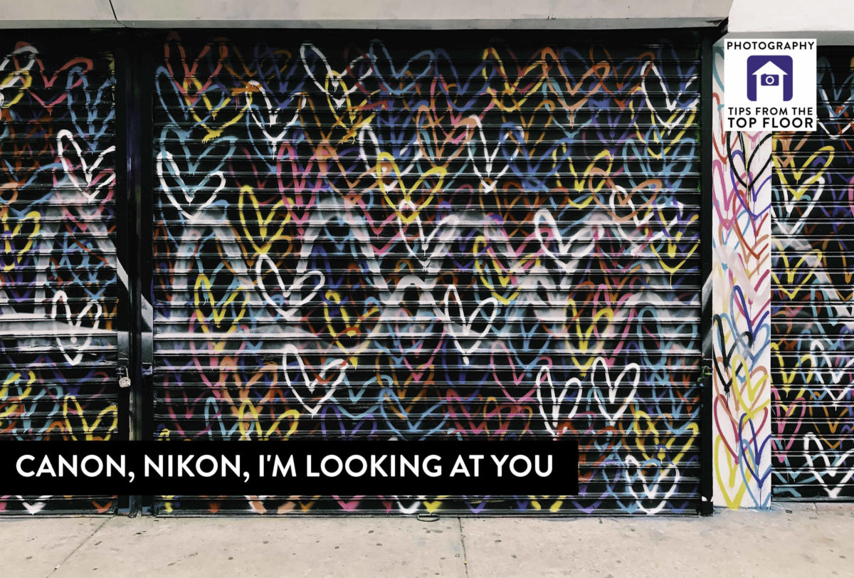785 Canon, Nikon, I’m Looking at You